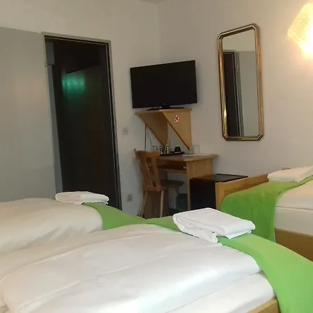Hansa Hotel 3*